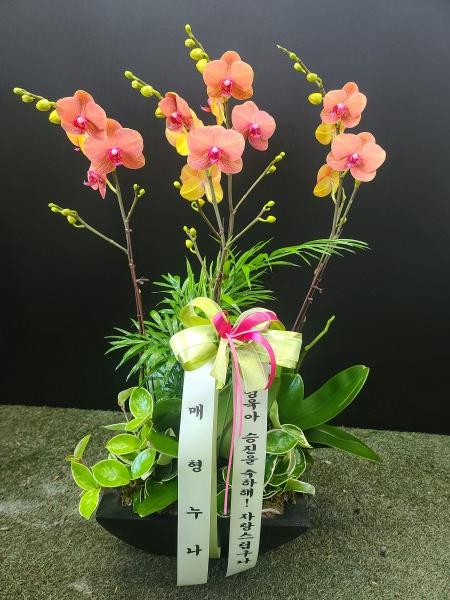 업로드 이미지