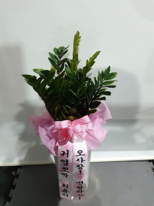업로드 이미지