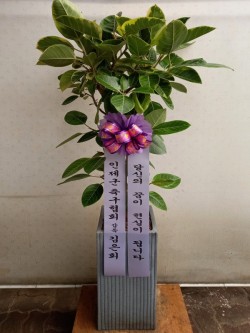 배송사진