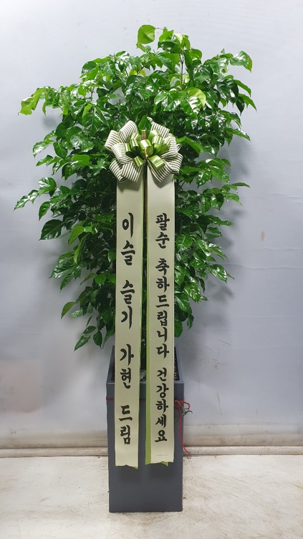 업로드 이미지