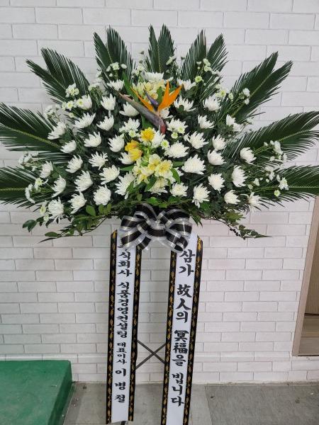 업로드 이미지