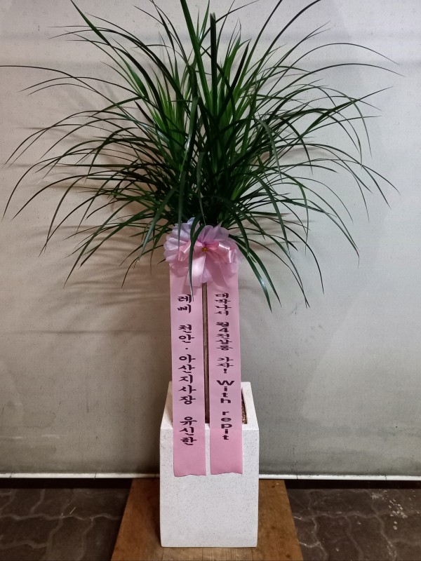 업로드 이미지