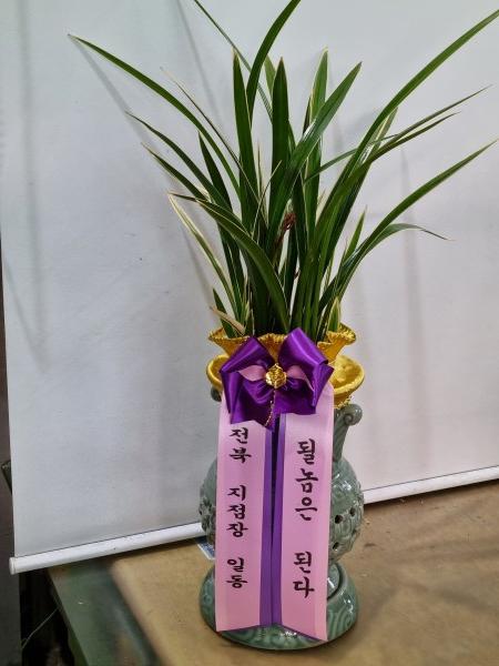 업로드 이미지