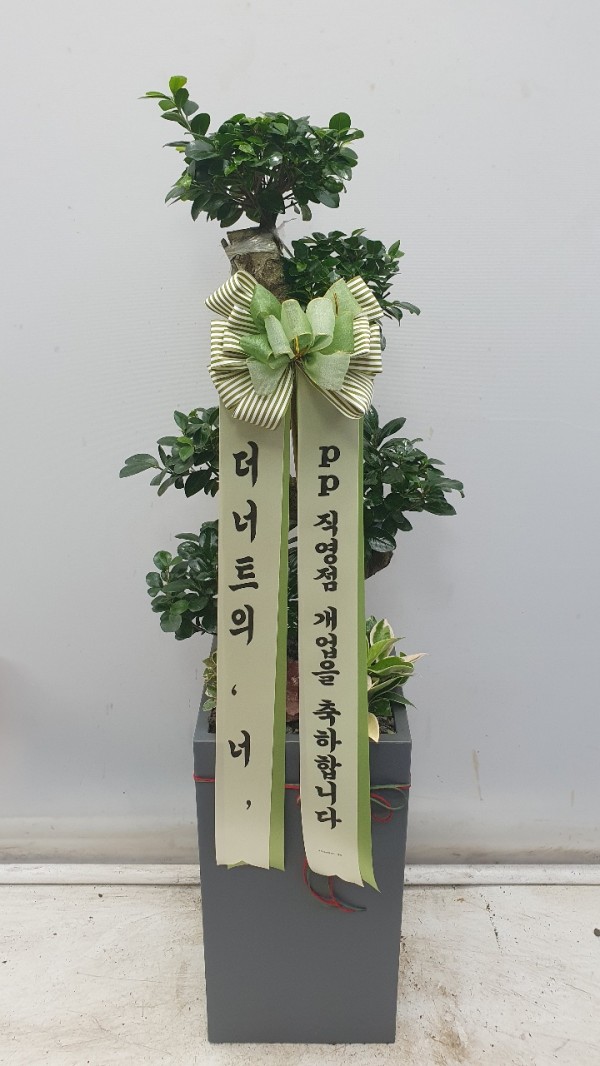 업로드 이미지