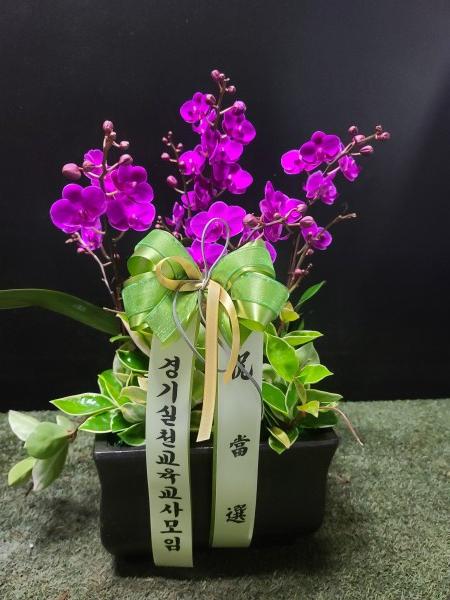 업로드 이미지