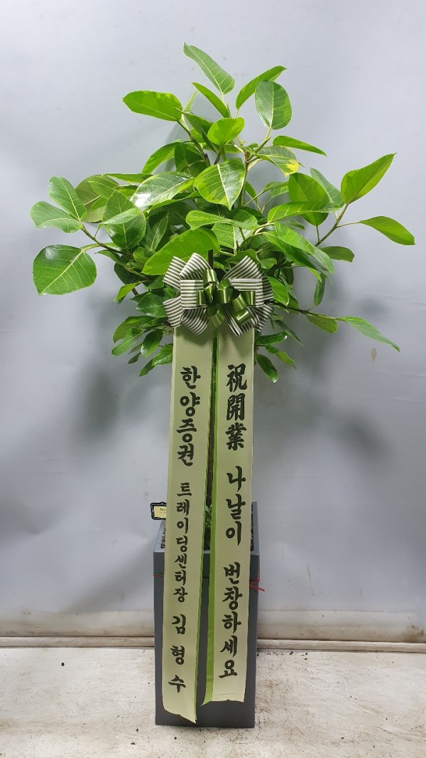 업로드 이미지