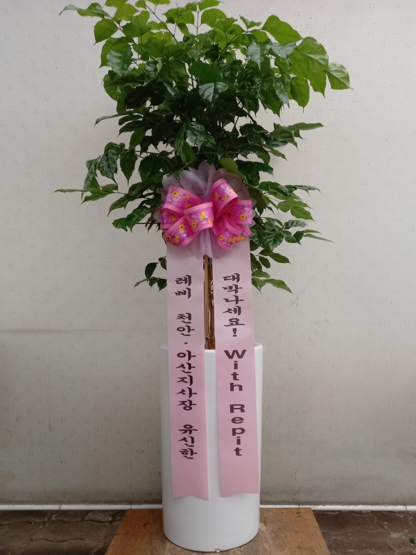 업로드 이미지