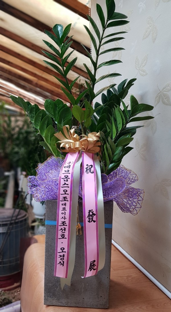 업로드 이미지