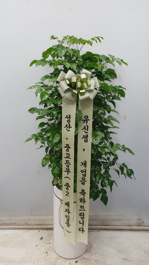 업로드 이미지
