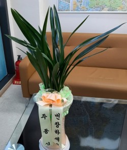 배송사진