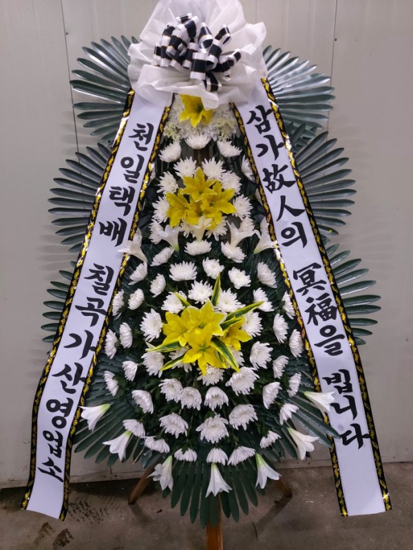 업로드 이미지