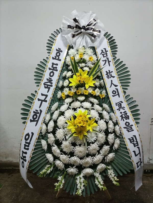 업로드 이미지
