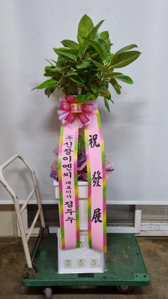 업로드 이미지