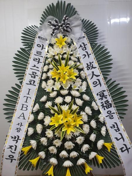 업로드 이미지