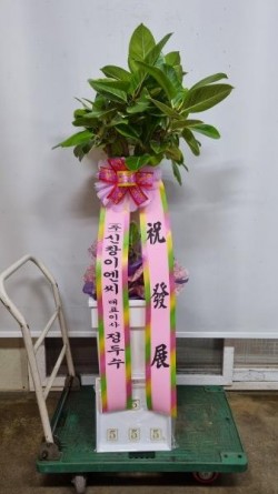 배송사진
