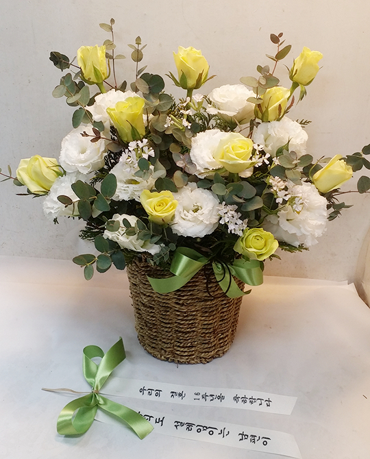 업로드 이미지