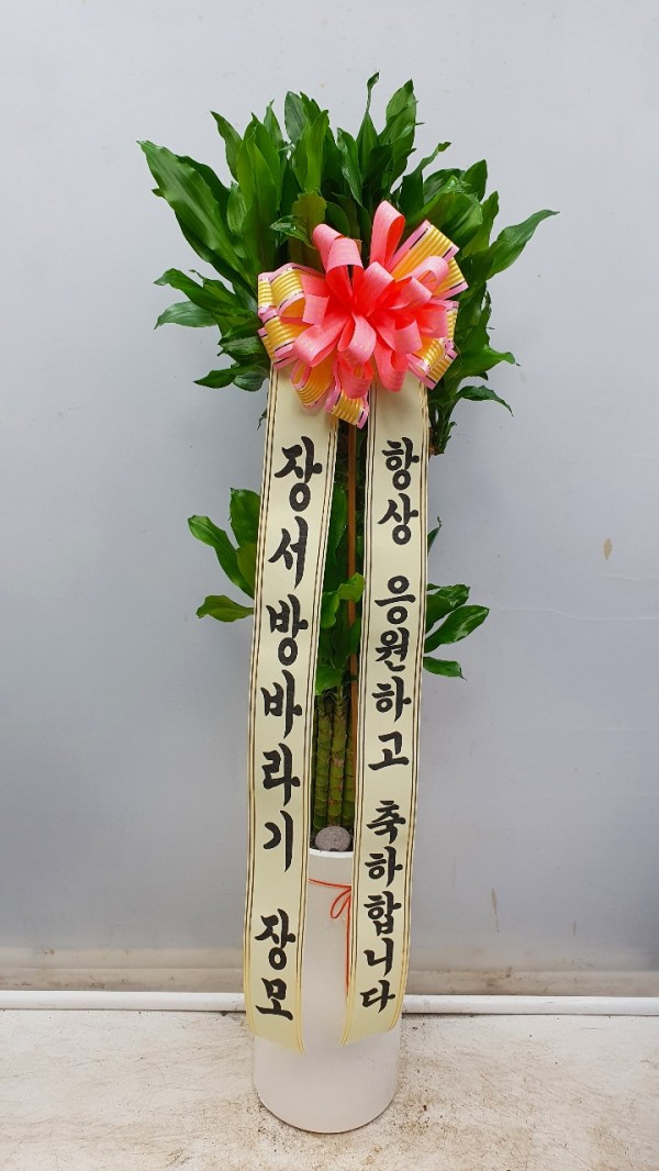 업로드 이미지