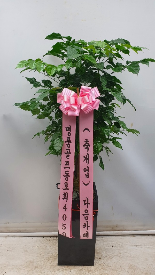 업로드 이미지