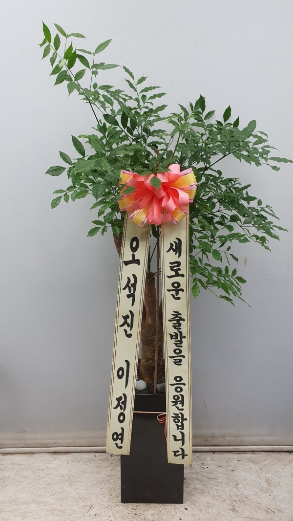 업로드 이미지