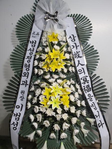 업로드 이미지