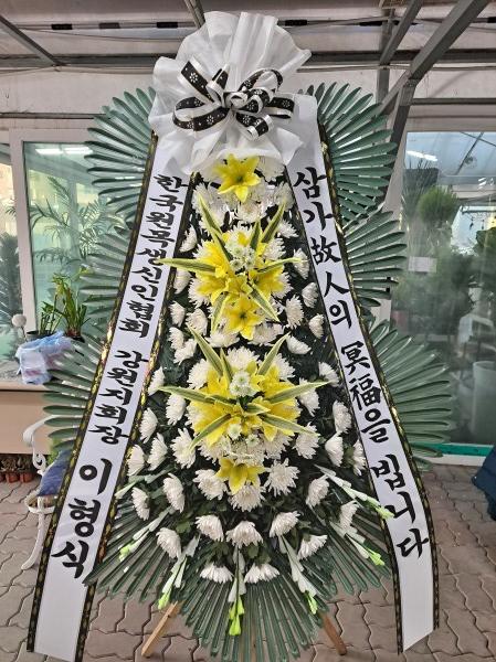 업로드 이미지