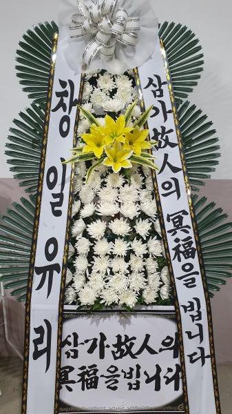 업로드 이미지