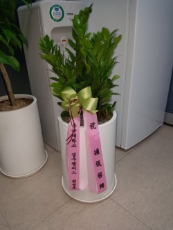 배송사진