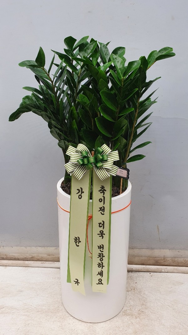 업로드 이미지