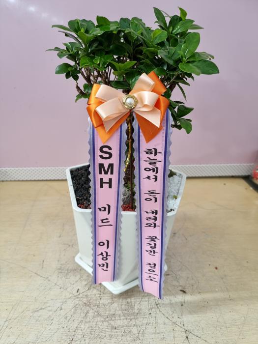 업로드 이미지