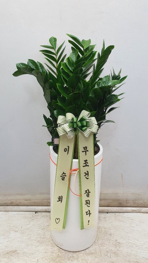 업로드 이미지