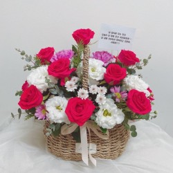 업로드 이미지
