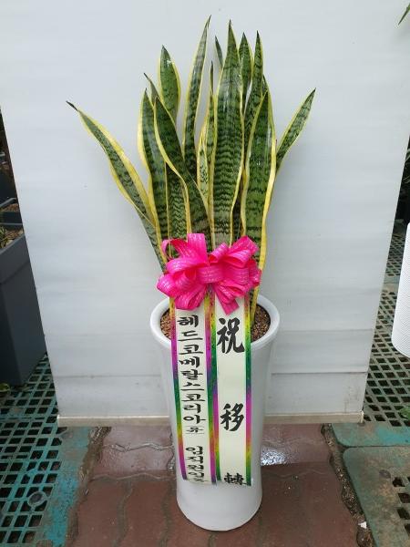 업로드 이미지