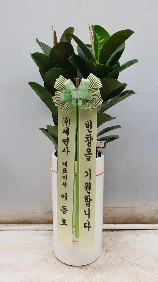 업로드 이미지