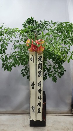 업로드 이미지