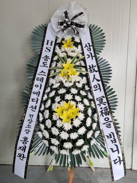 업로드 이미지