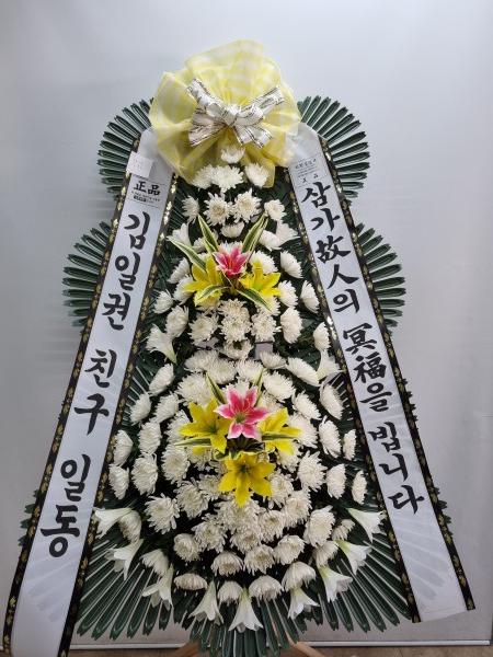업로드 이미지