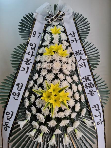 업로드 이미지