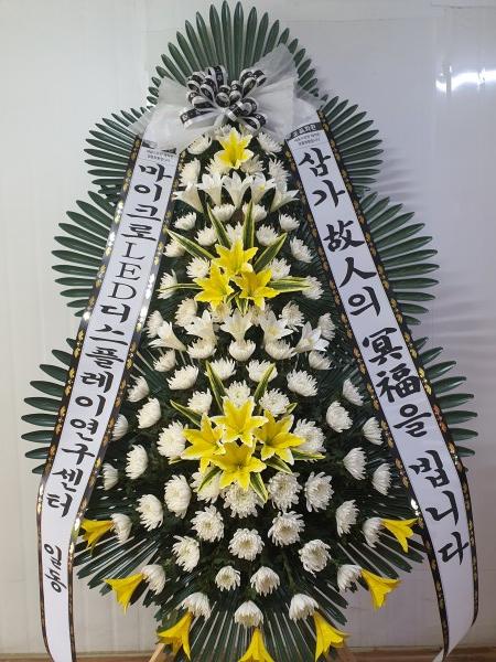 업로드 이미지