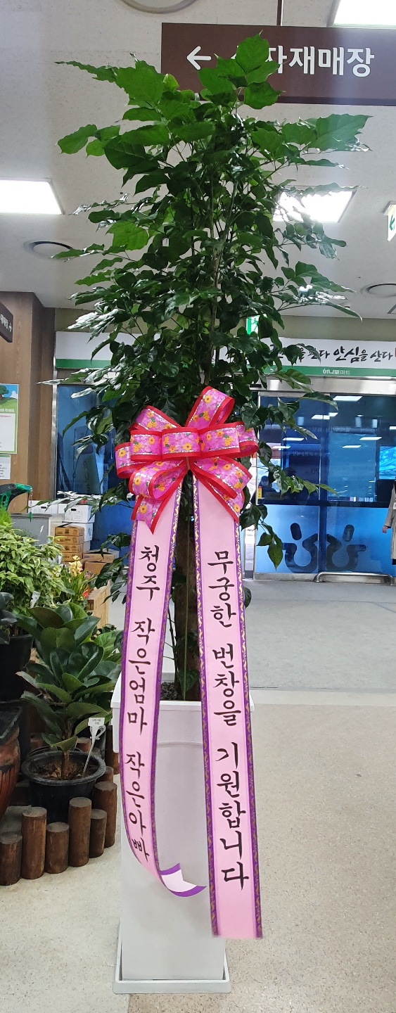 업로드 이미지