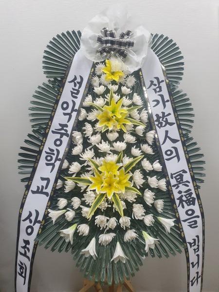 업로드 이미지