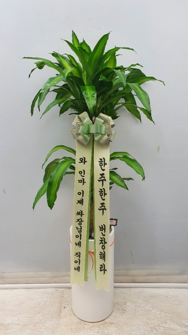 업로드 이미지