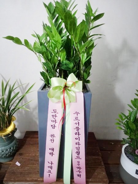 업로드 이미지