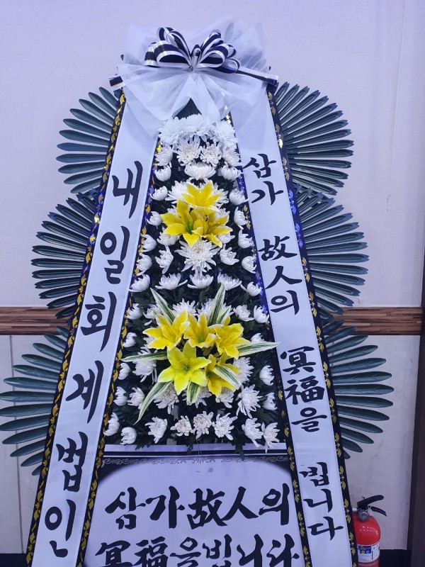 업로드 이미지