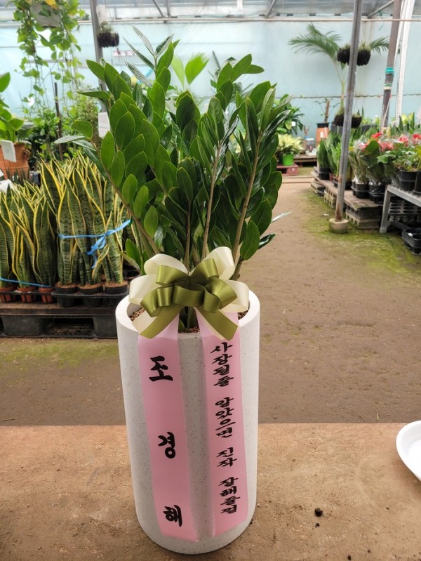 업로드 이미지