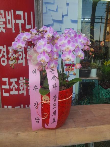 업로드 이미지