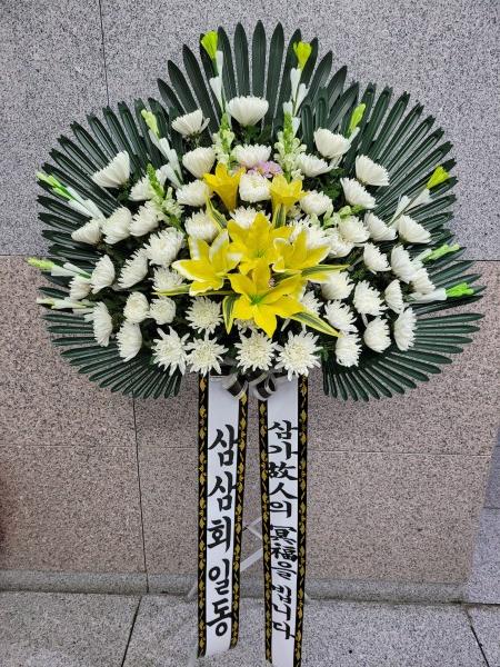 업로드 이미지