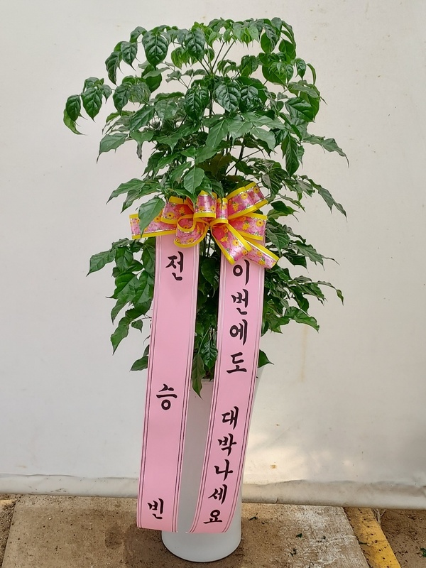 업로드 이미지