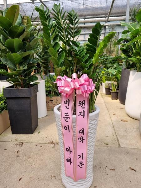 업로드 이미지