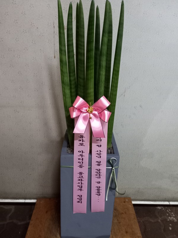 업로드 이미지