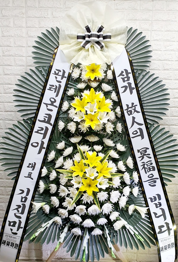 업로드 이미지
